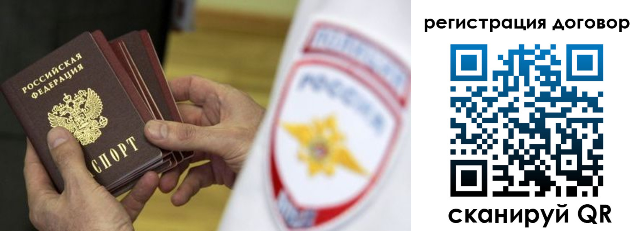 прописка 2025 в Коле